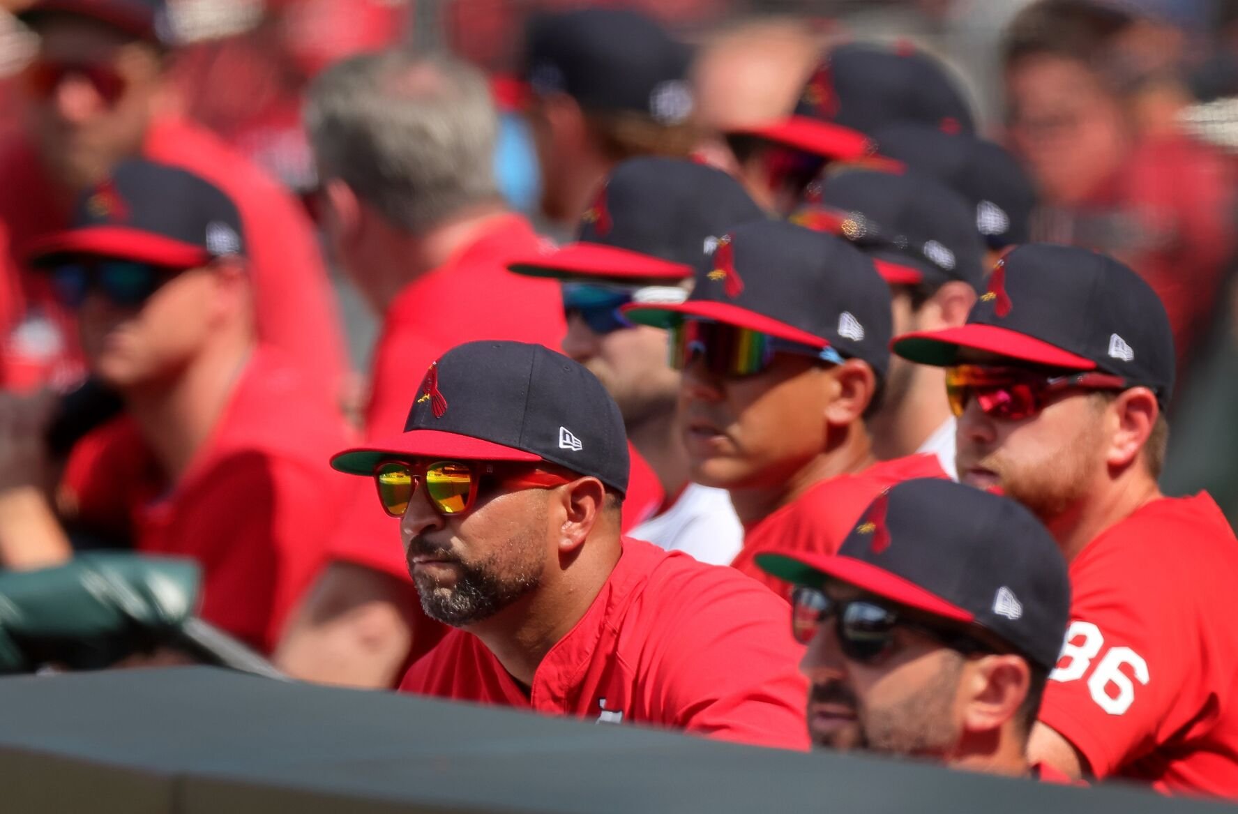 San Diego Padres vs St. Louis Cardinals, Sunday